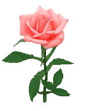 Sa majesté, la rose de Serge Lutens : La rose en personne. -  lesplusbeauxparfums